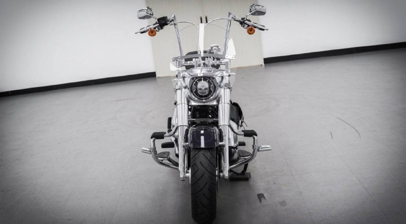 Harley-Davidson Fat Boy 114 из Южной Кореи — фото 3 из 4