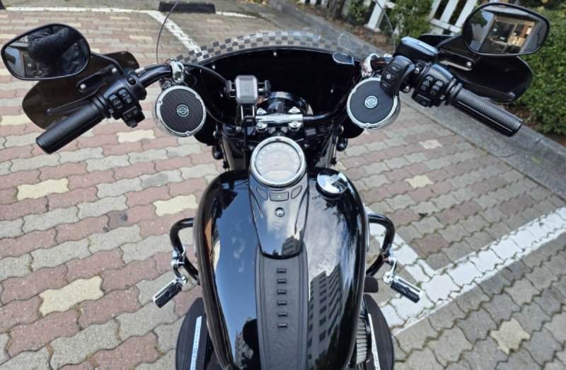 Harley-Davidson Heritage Classic 114 из Южной Кореи — фото 4 из 4