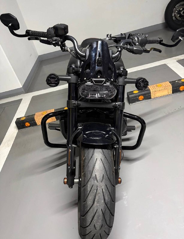 Harley-Davidson Sportster S из Южной Кореи — фото 4 из 4